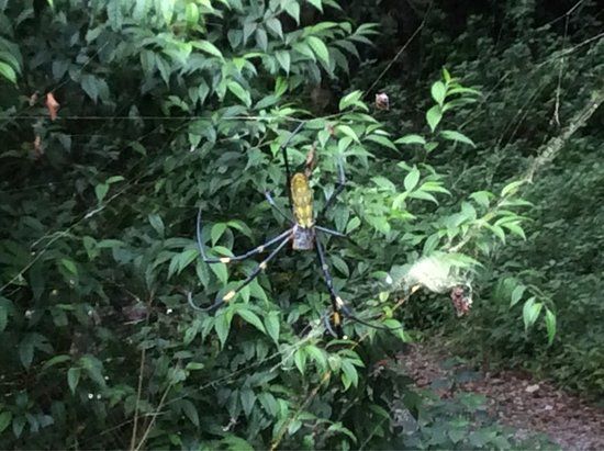 Namkha Khyung Dzong Rigdin Choling Monastery